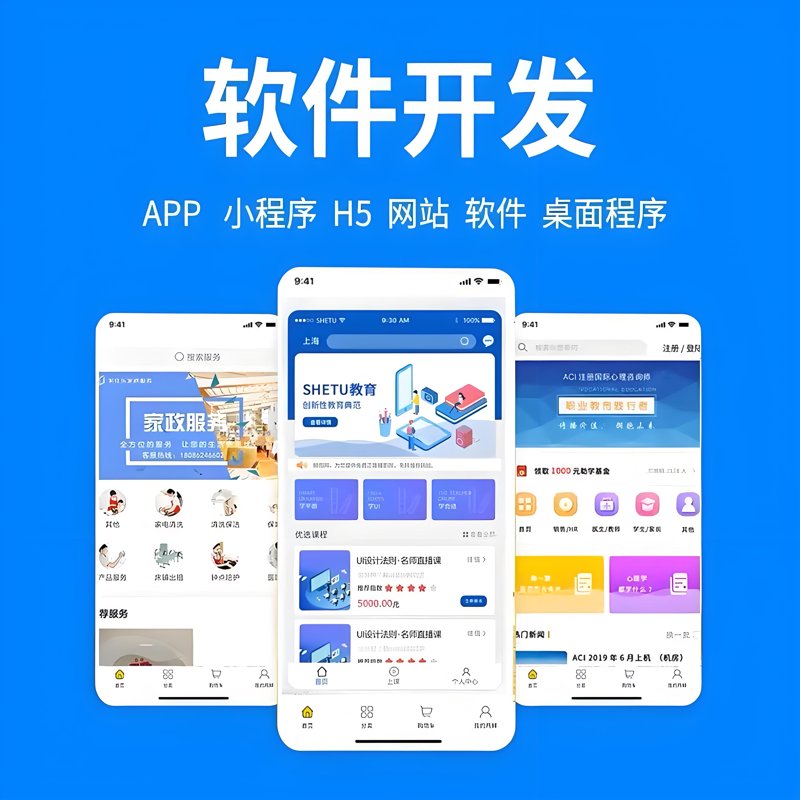 软件开发定制：企业增长的秘密武器